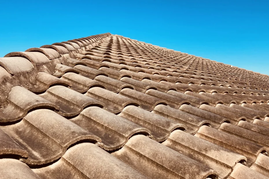 What Are The Signs That Your Roof Needs Washing