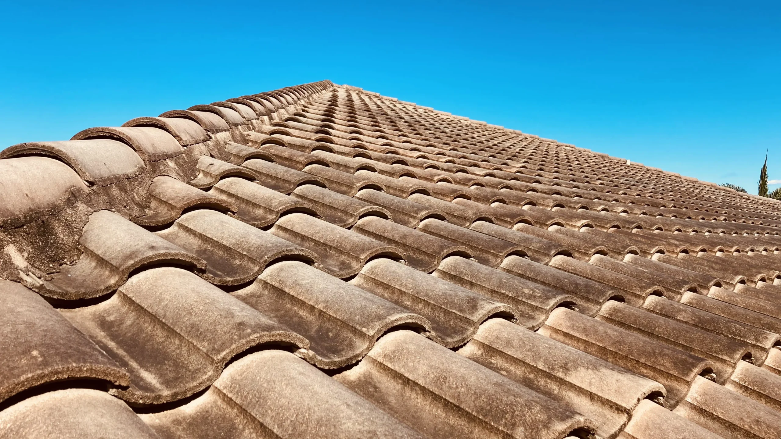 What Are The Signs That Your Roof Needs Washing