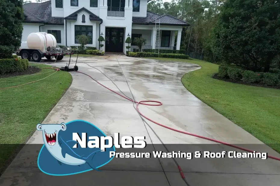 Naples Pressure Washing and Roof Cleaning Cement