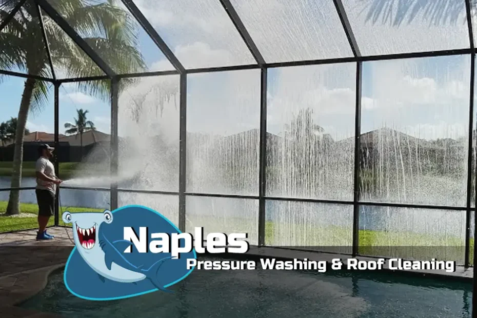 Naples Pressure Washing and Roof Cleaning Lanai Pool Cage