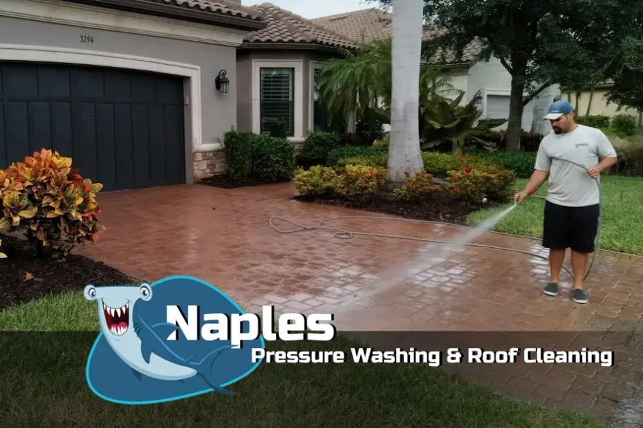 Naples Pressure Washing and Roof Cleaning Paver Wash