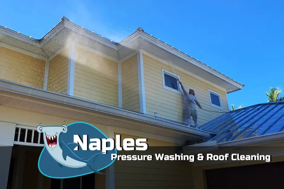 How To Clean Roof Shingles