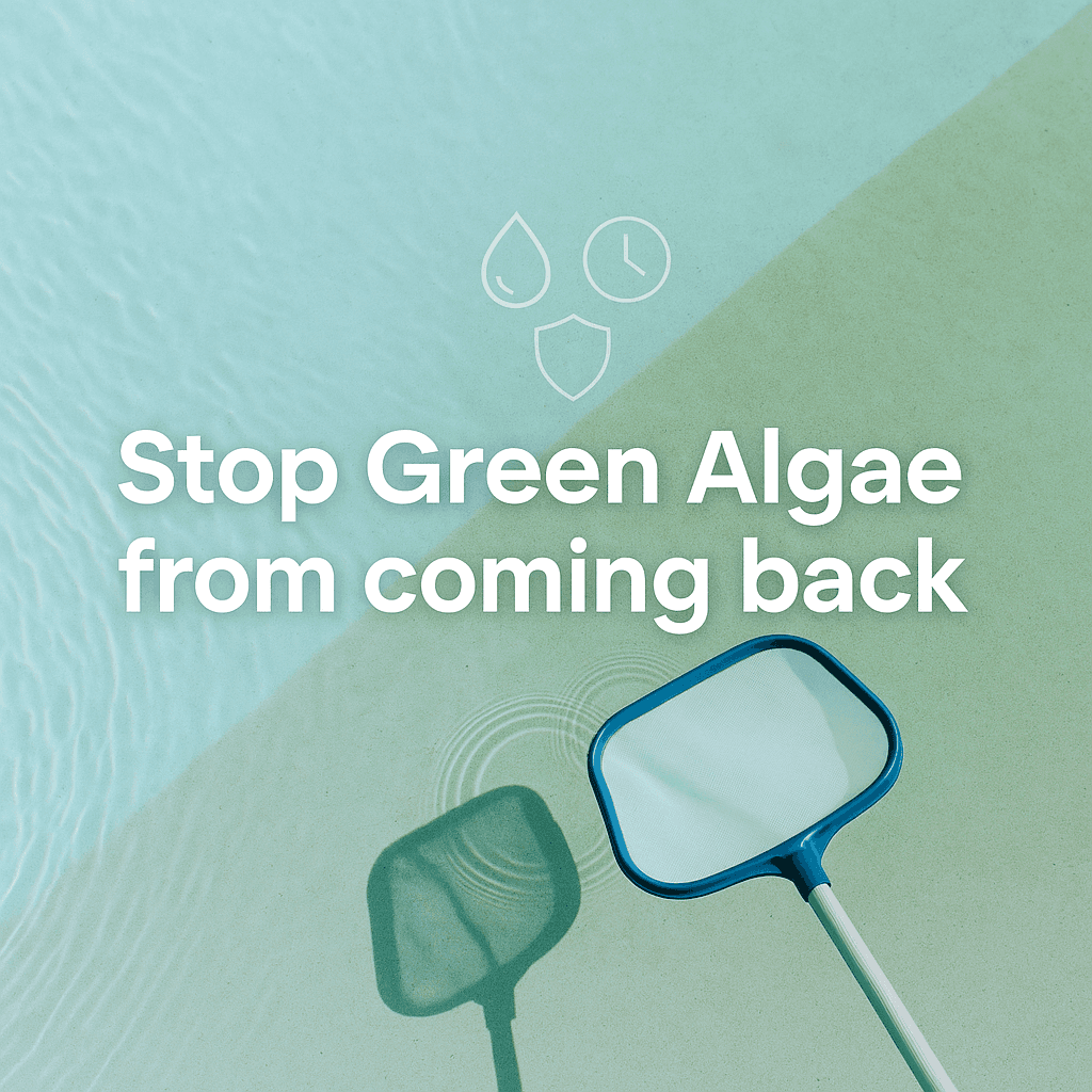 How to Stop Green Algae From Coming Back Fast